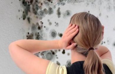 6 điểm mù chứa nấm mốc trong nhà 90% người Việt đều bỏ qua